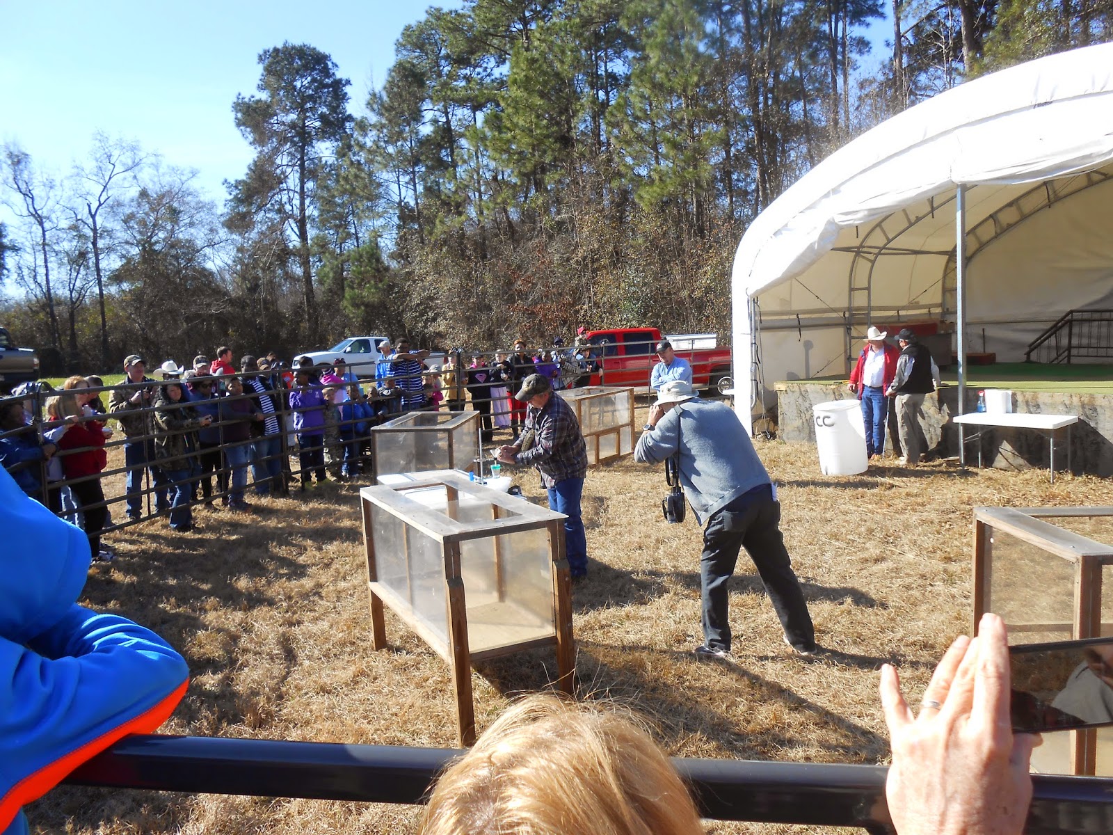 Florida Tallahassee Mission Rattlesnake Roundup in
